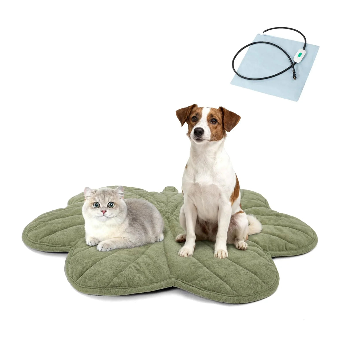 Beds & Blankets