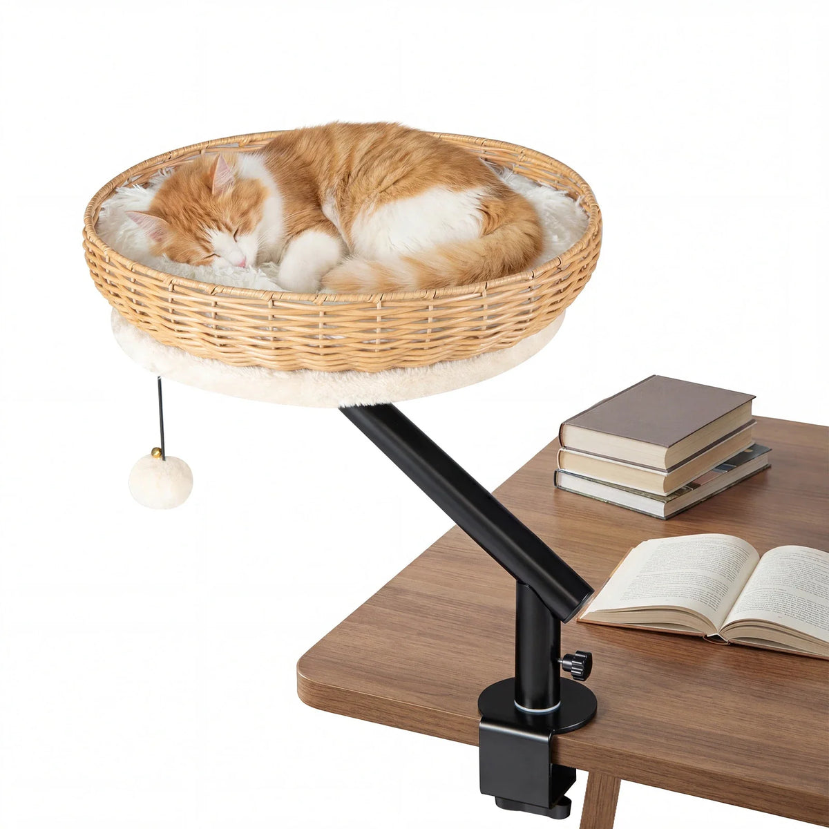 Cat Beds
