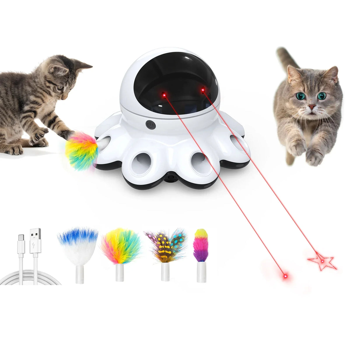 Cat Lasers