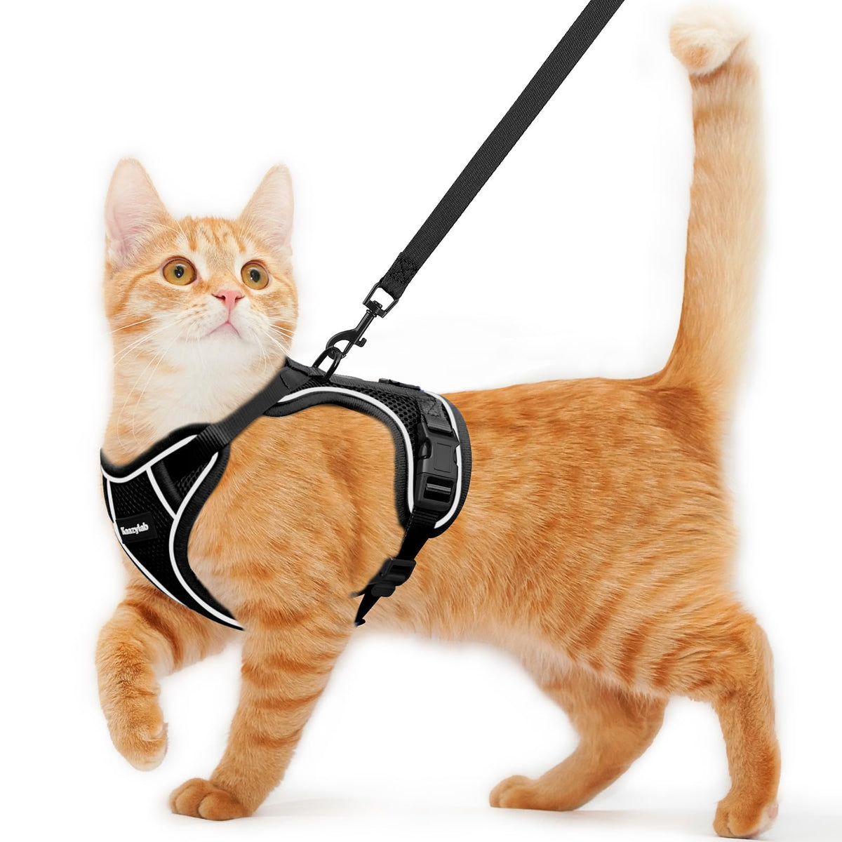 Cat Leashes