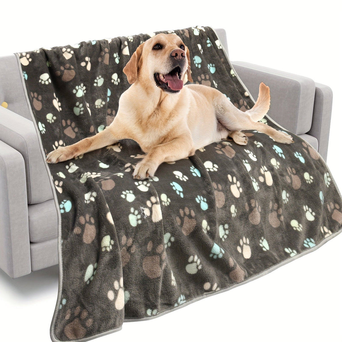 Dog Blankets