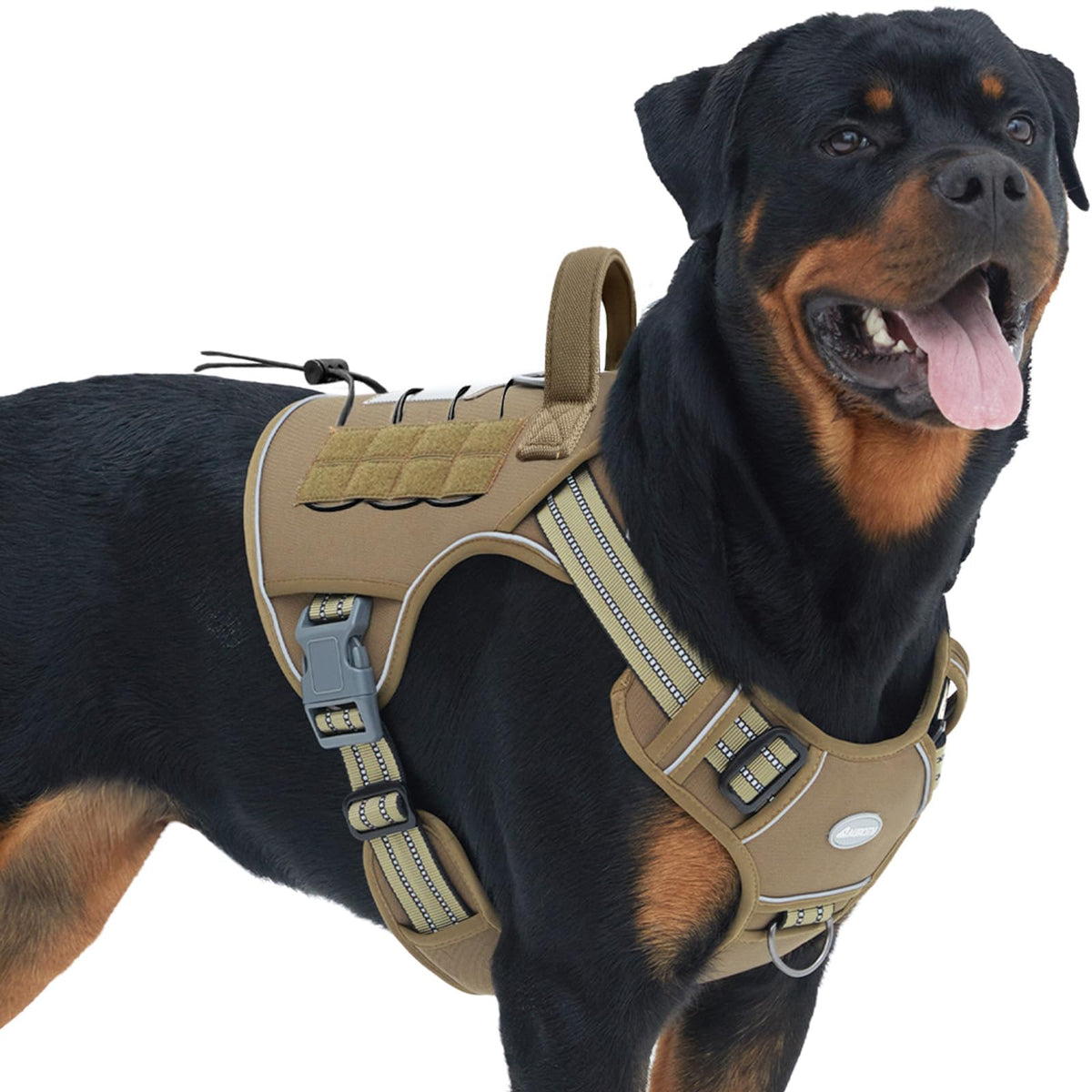 Dog Harnessess