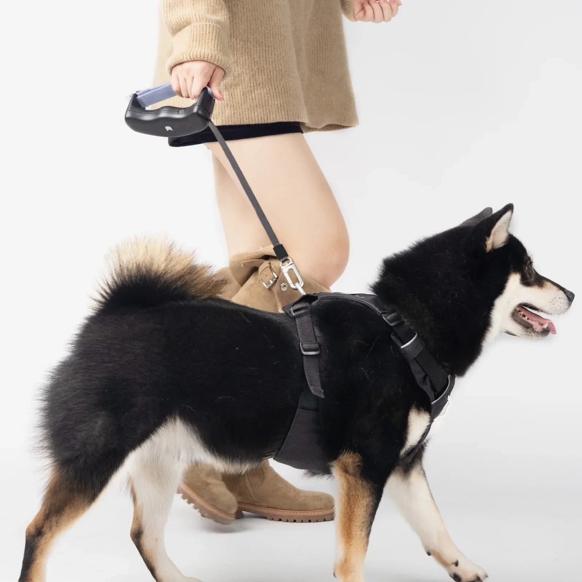 Dog Leashes