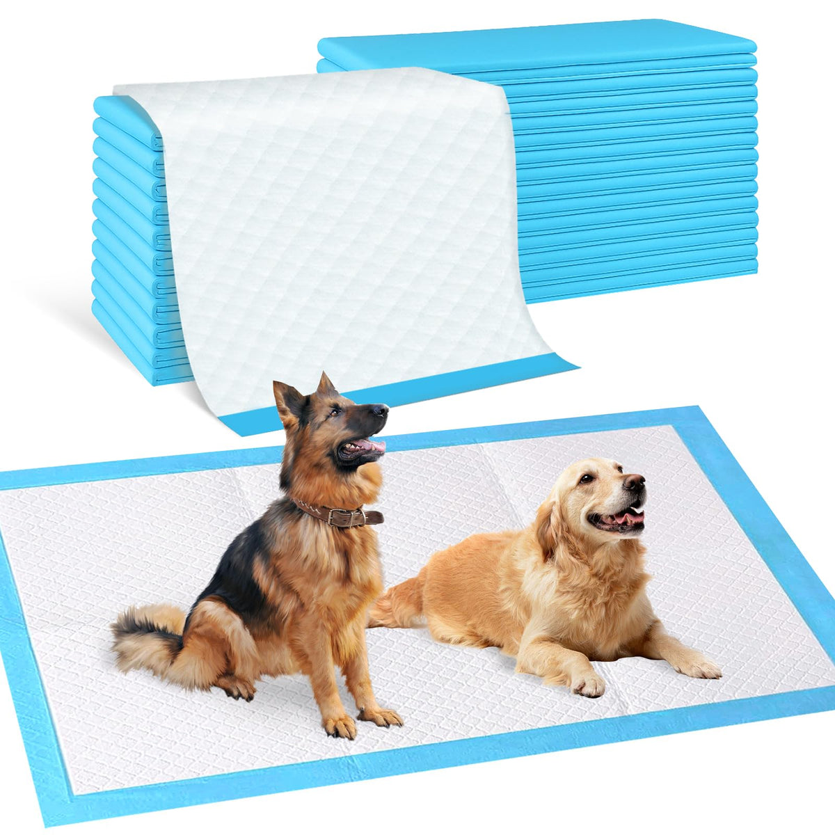 Pet Mess Supplies