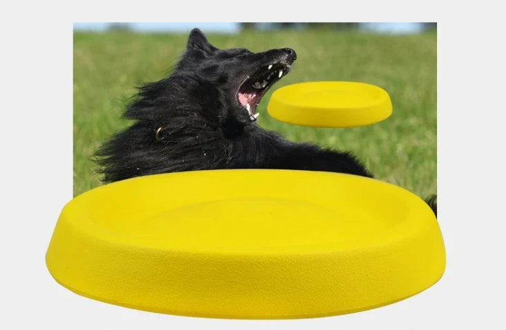 Throwing Toys