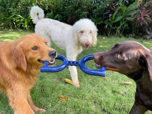 Tugging Toys