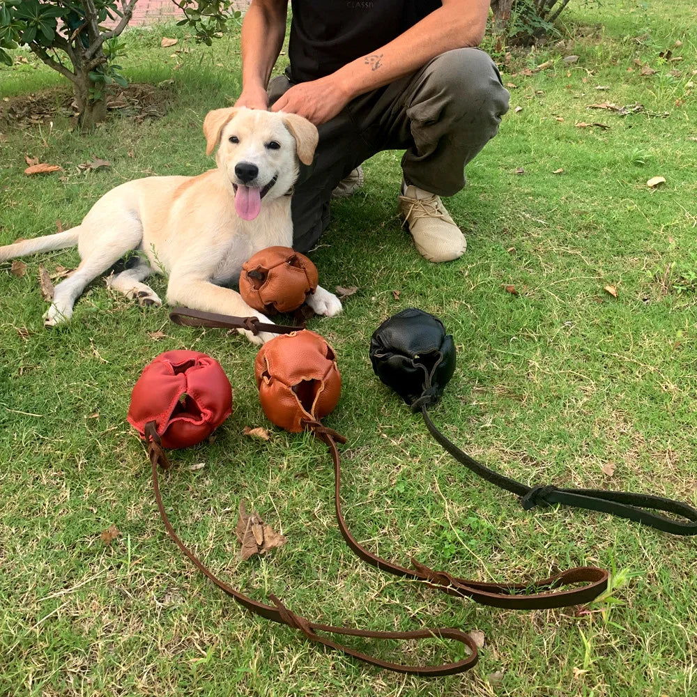 Bite Resistant Bullskin Ball Dog Training Supplies Training Dog Release Ball Dog Bite Ball for Small and Medium-sized Dogs