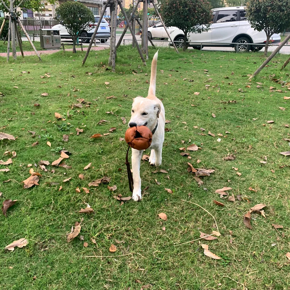 Bite Resistant Bullskin Ball Dog Training Supplies Training Dog Release Ball Dog Bite Ball for Small and Medium-sized Dogs