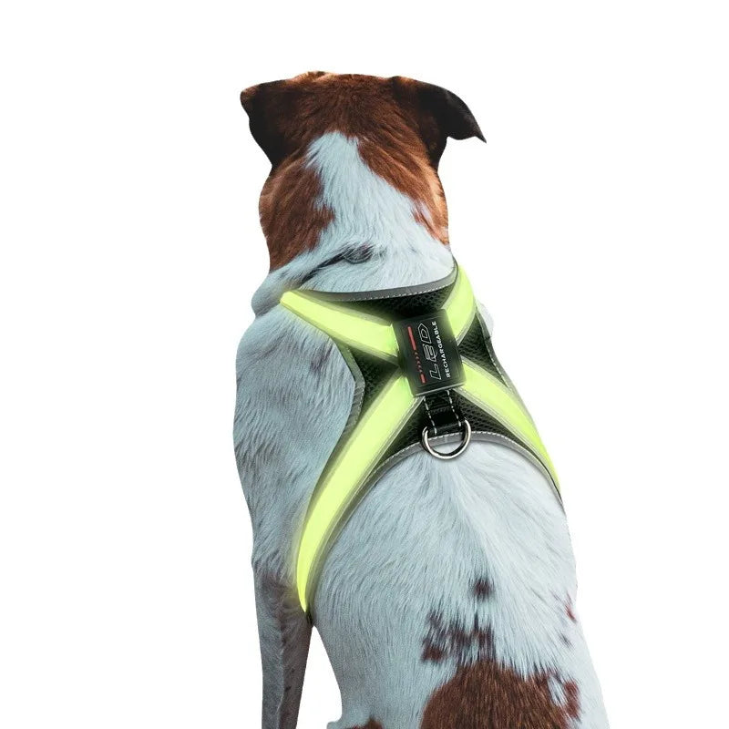 Color Changing Dog Collar Explosion Resistant Reflective Vest Adjustable Chest Harness LED Light Pet Leash