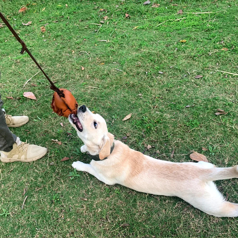 Bite Resistant Bullskin Ball Dog Training Supplies Training Dog Release Ball Dog Bite Ball for Small and Medium-sized Dogs